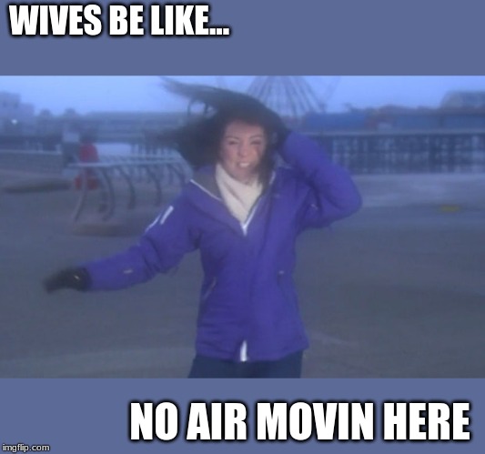 Inspired | WIVES BE LIKE... NO AIR MOVIN HERE | image tagged in weather,hot flashes | made w/ Imgflip meme maker