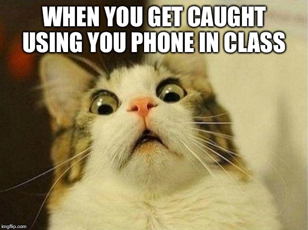Scared Cat Meme | WHEN YOU GET CAUGHT USING YOU PHONE IN CLASS | image tagged in memes,scared cat | made w/ Imgflip meme maker