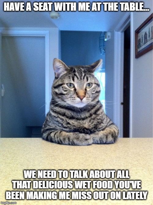 I betcha like 50 dollars this cat's not been getting any wet food lately | HAVE A SEAT WITH ME AT THE TABLE... WE NEED TO TALK ABOUT ALL THAT DELICIOUS WET FOOD YOU'VE BEEN MAKING ME MISS OUT ON LATELY | image tagged in memes,take a seat cat | made w/ Imgflip meme maker