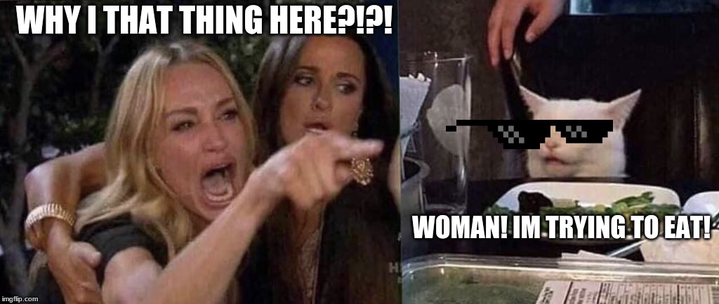 woman yelling at cat | WHY I THAT THING HERE?!?! WOMAN! IM TRYING TO EAT! | image tagged in woman yelling at cat | made w/ Imgflip meme maker