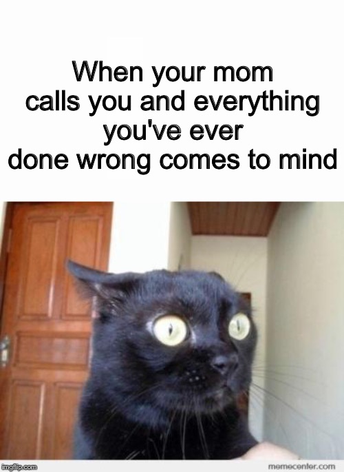 When your mom calls you and everything you've ever done wrong comes to mind | image tagged in scared cat | made w/ Imgflip meme maker