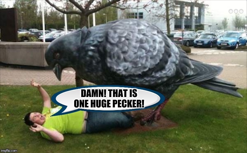 Huge pecker | DAMN! THAT IS ONE HUGE PECKER! | image tagged in huge pecker | made w/ Imgflip meme maker