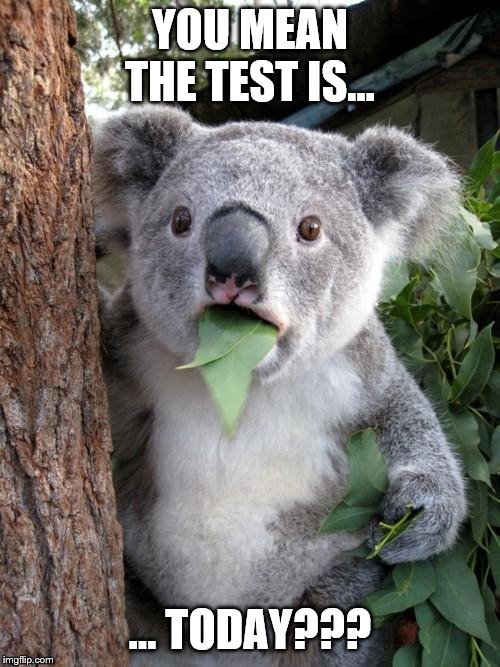 Surprised Koala | YOU MEAN THE TEST IS... … TODAY??? | image tagged in memes,surprised koala | made w/ Imgflip meme maker