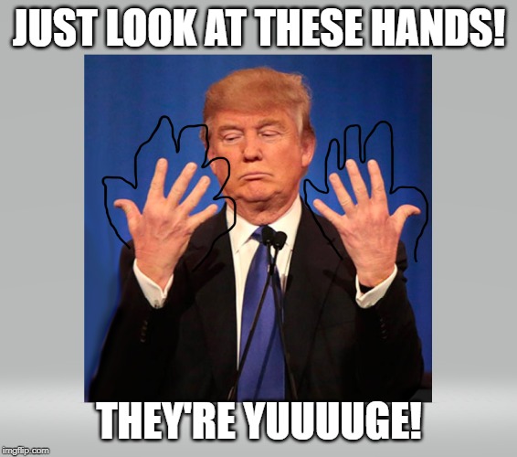 JUST LOOK AT THESE HANDS! THEY'RE YUUUUGE! | made w/ Imgflip meme maker