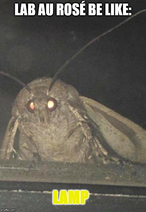 Moth | LAB AU ROSÉ BE LIKE:; LAMP | image tagged in moth | made w/ Imgflip meme maker