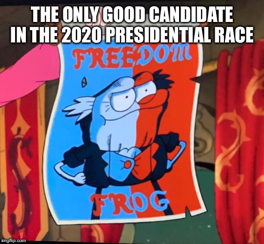 Hop Pop the Freedom Frog | THE ONLY GOOD CANDIDATE IN THE 2020 PRESIDENTIAL RACE | image tagged in hop pop the freedom frog,politics,amphibia | made w/ Imgflip meme maker