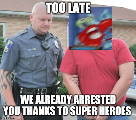 man get arrested | TOO LATE WE ALREADY ARRESTED YOU THANKS TO SUPER HEROES | image tagged in man get arrested | made w/ Imgflip meme maker
