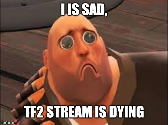 PLEASE POST! WE NEED SUPPORT! | I IS SAD, TF2 STREAM IS DYING | image tagged in sad pootis | made w/ Imgflip meme maker