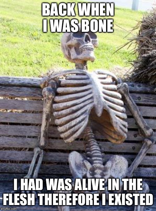Waiting Skeleton Meme | BACK WHEN I WAS BONE I HAD WAS ALIVE IN THE FLESH THEREFORE I EXISTED | image tagged in memes,waiting skeleton | made w/ Imgflip meme maker