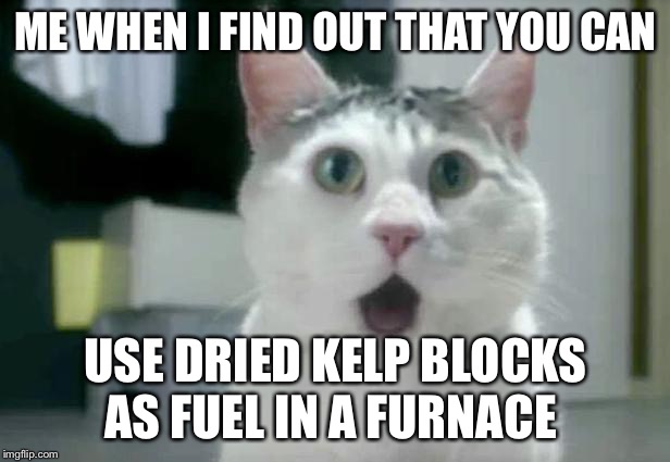 OMG Cat | ME WHEN I FIND OUT THAT YOU CAN; USE DRIED KELP BLOCKS AS FUEL IN A FURNACE | image tagged in memes,omg cat | made w/ Imgflip meme maker