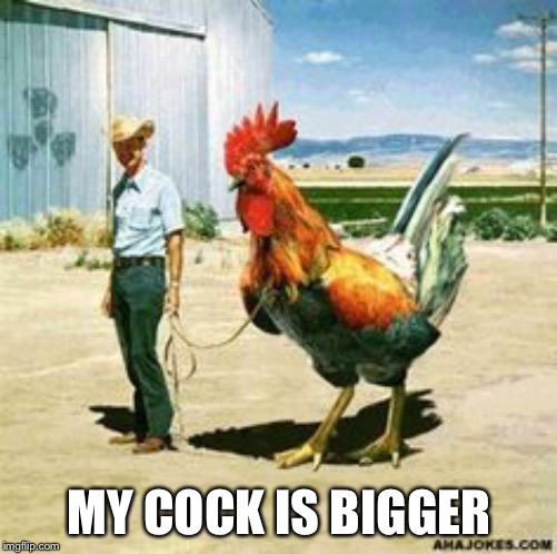 BIG COCK | MY COCK IS BIGGER | image tagged in big cock | made w/ Imgflip meme maker