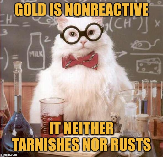 cat scientist | GOLD IS NONREACTIVE IT NEITHER TARNISHES NOR RUSTS | image tagged in cat scientist | made w/ Imgflip meme maker