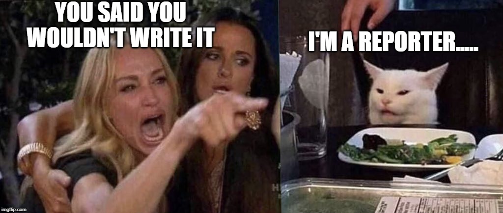 woman yelling at cat | YOU SAID YOU WOULDN'T WRITE IT; I'M A REPORTER..... | image tagged in woman yelling at cat | made w/ Imgflip meme maker