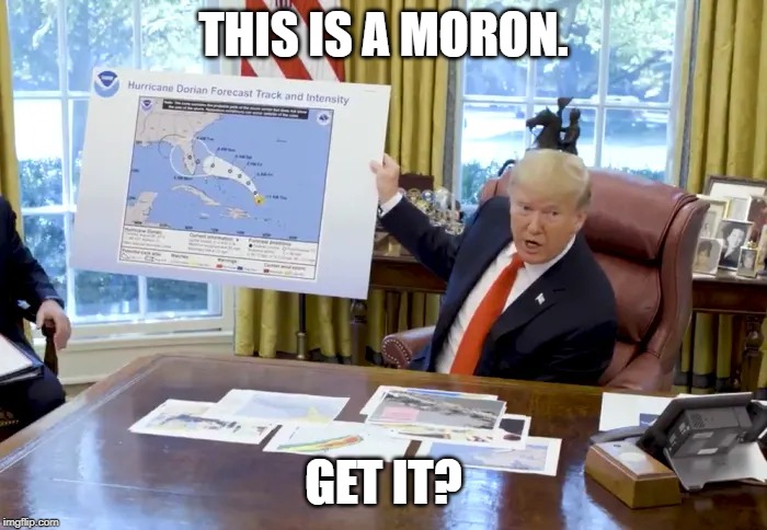 THIS IS A MORON. GET IT? | image tagged in donald trump,hurricane dorian | made w/ Imgflip meme maker