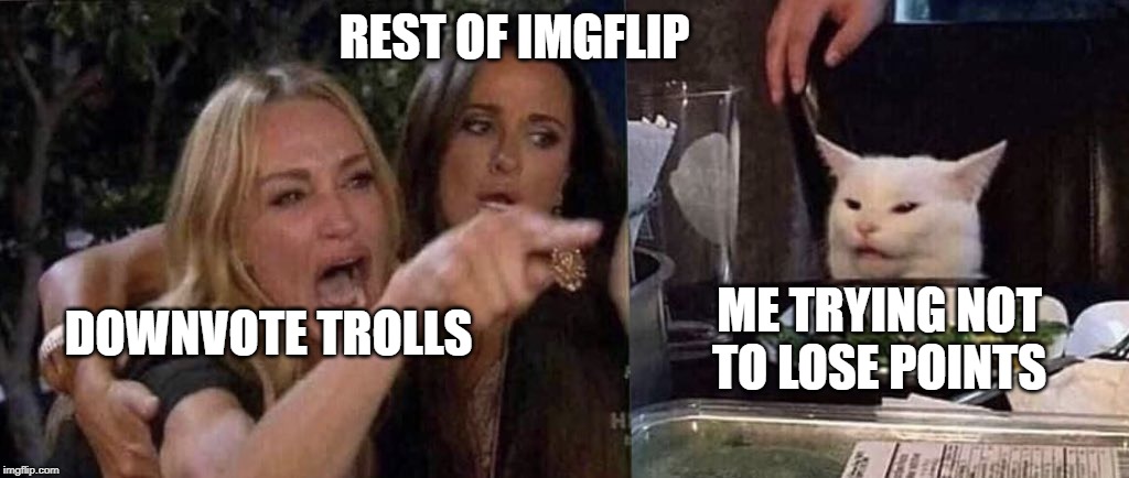 woman yelling at cat | REST OF IMGFLIP; ME TRYING NOT TO LOSE POINTS; DOWNVOTE TROLLS | image tagged in woman yelling at cat | made w/ Imgflip meme maker