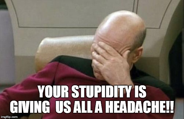 Captain Picard Facepalm Meme | YOUR STUPIDITY IS GIVING  US ALL A HEADACHE!! | image tagged in memes,captain picard facepalm | made w/ Imgflip meme maker