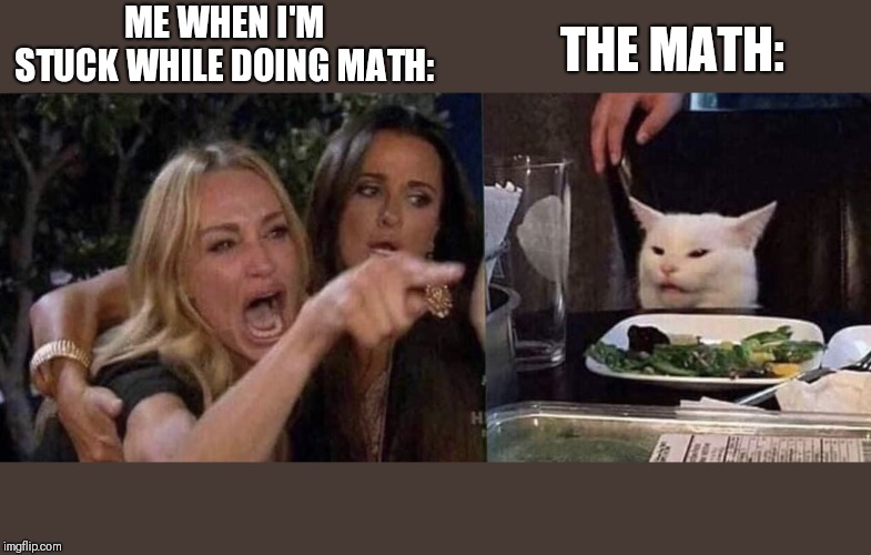 woman yelling at cat | THE MATH:; ME WHEN I'M STUCK WHILE DOING MATH: | image tagged in woman yelling at cat | made w/ Imgflip meme maker