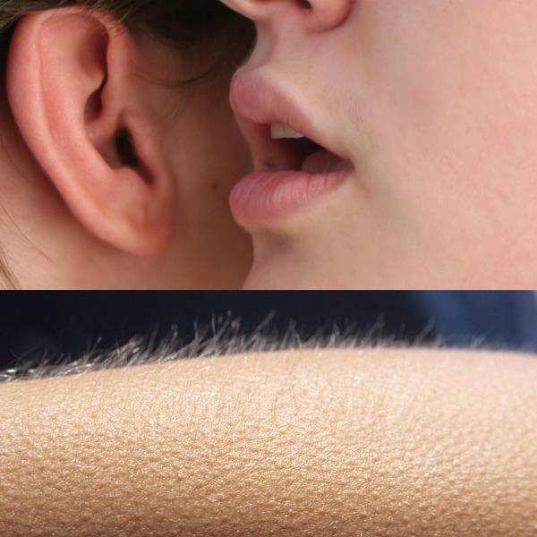 goosebumps Blank Meme Template