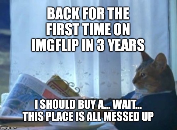 I Should Buy A Boat Cat | BACK FOR THE FIRST TIME ON IMGFLIP IN 3 YEARS; I SHOULD BUY A... WAIT... THIS PLACE IS ALL MESSED UP | image tagged in memes,i should buy a boat cat | made w/ Imgflip meme maker