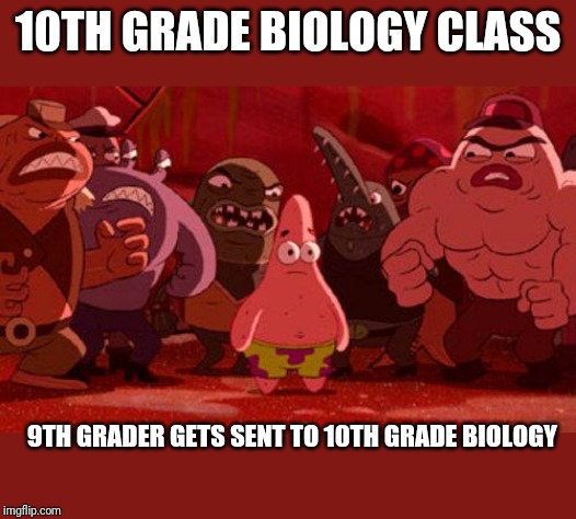 Patrick Star crowded | 10TH GRADE BIOLOGY CLASS; 9TH GRADER GETS SENT TO 10TH GRADE BIOLOGY | image tagged in patrick star crowded | made w/ Imgflip meme maker