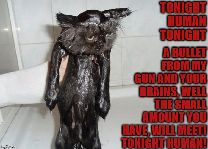 TONIGHT HUMAN | A BULLET FROM MY GUN AND YOUR BRAINS, WELL THE SMALL AMOUNT YOU HAVE, WILL MEET! TONIGHT HUMAN! TONIGHT HUMAN TONIGHT | image tagged in tonight human | made w/ Imgflip meme maker