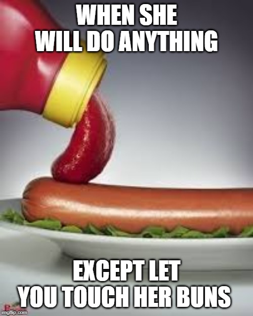 tongue it | WHEN SHE WILL DO ANYTHING; EXCEPT LET YOU TOUCH HER BUNS | image tagged in tongue,ketchup,hotdog,buns,oral sex,nasty | made w/ Imgflip meme maker