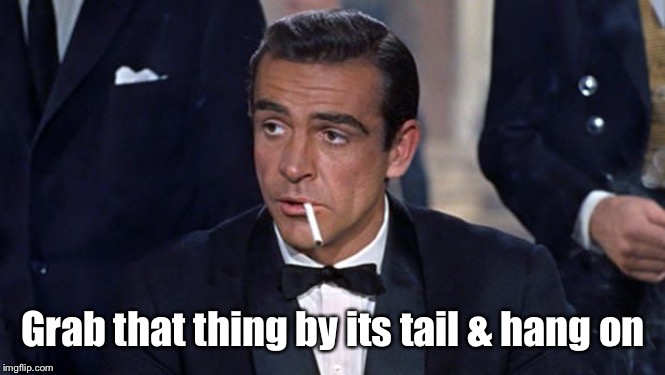 James Bond | Grab that thing by its tail & hang on | image tagged in james bond | made w/ Imgflip meme maker