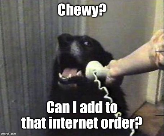 Yes this is dog | Chewy? Can I add to that internet order? | image tagged in yes this is dog | made w/ Imgflip meme maker