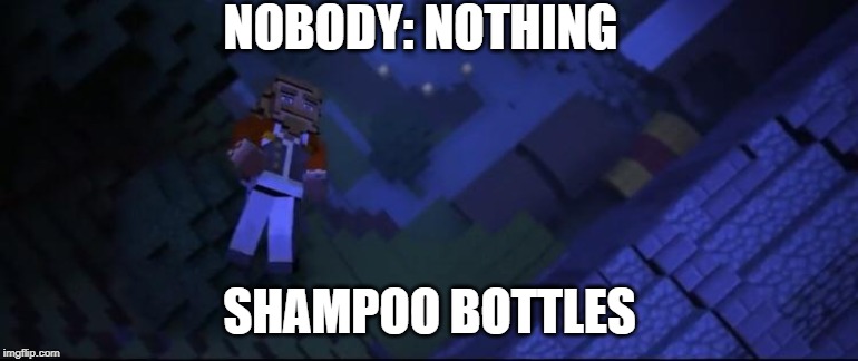shampoo | NOBODY: NOTHING; SHAMPOO BOTTLES | image tagged in minecraft | made w/ Imgflip meme maker