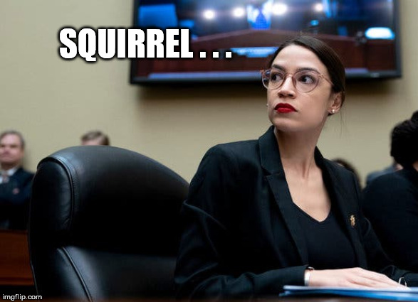 Alexandria Ocasio-Cortez Distracted | SQUIRREL . . . | image tagged in alexandria ocasio-cortez distracted | made w/ Imgflip meme maker