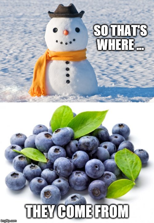 snow man funny | SO THAT'S
WHERE ... THEY COME FROM | image tagged in snow joke | made w/ Imgflip meme maker
