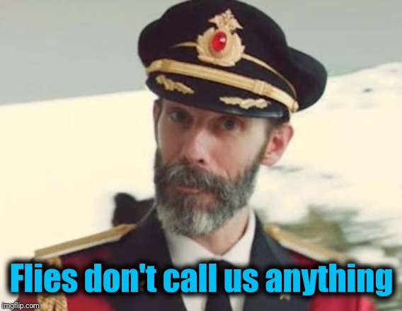 Captain Obvious | Flies don't call us anything | image tagged in captain obvious | made w/ Imgflip meme maker