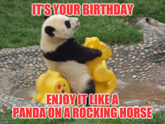 Happy Birthday! Rock on! | IT'S YOUR BIRTHDAY; ENJOY IT LIKE A PANDA ON A ROCKING HORSE | image tagged in panda rocking,memes,happy birthday,birthday,be happy | made w/ Imgflip meme maker