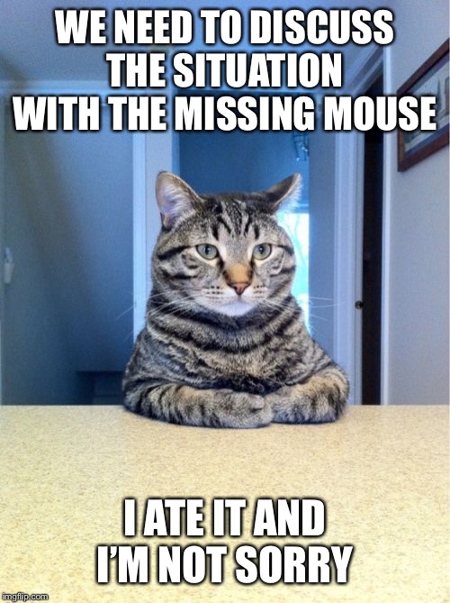 Take A Seat Cat Meme | WE NEED TO DISCUSS THE SITUATION WITH THE MISSING MOUSE; I ATE IT AND I’M NOT SORRY | image tagged in memes,take a seat cat | made w/ Imgflip meme maker