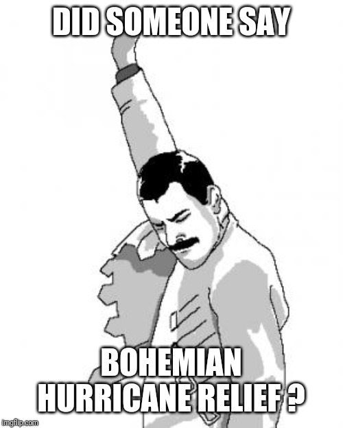 Freddie Mercury | DID SOMEONE SAY; BOHEMIAN HURRICANE RELIEF ? | image tagged in freddie mercury | made w/ Imgflip meme maker