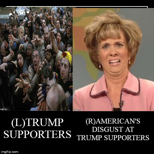 SUPPORTER DISGUST | image tagged in trump,liberals,2020,impeach trump,alt right | made w/ Imgflip meme maker