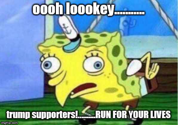 supporters run for your lives | image tagged in impeach,politics,trump,alt right,liberals,sarcasm | made w/ Imgflip meme maker