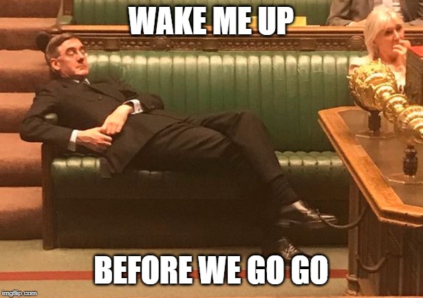 Rees Mogg | WAKE ME UP; BEFORE WE GO GO | image tagged in rees mogg | made w/ Imgflip meme maker