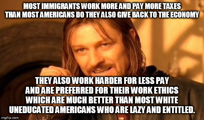 One Does Not Simply Meme | MOST IMMIGRANTS WORK MORE AND PAY MORE TAXES THAN MOST AMERICANS DO THEY ALSO GIVE BACK TO THE ECONOMY THEY ALSO WORK HARDER FOR LESS PAY AN | image tagged in memes,one does not simply | made w/ Imgflip meme maker