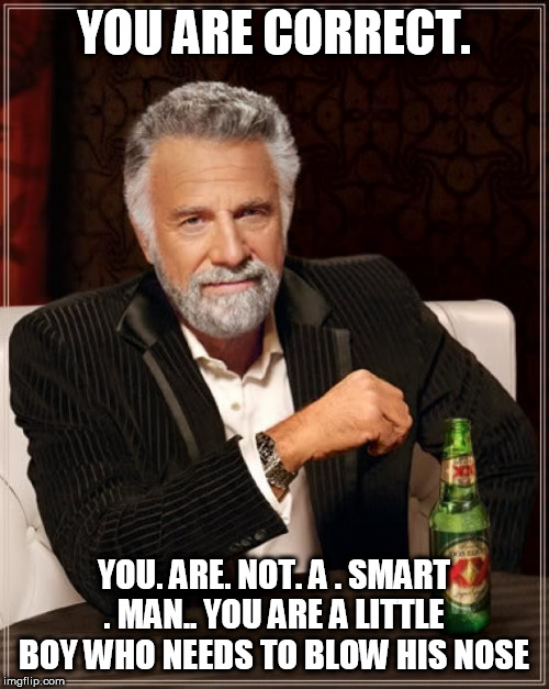 The Most Interesting Man In The World | YOU ARE CORRECT. YOU. ARE. NOT. A . SMART . MAN.. YOU ARE A LITTLE BOY WHO NEEDS TO BLOW HIS NOSE | image tagged in memes,the most interesting man in the world | made w/ Imgflip meme maker