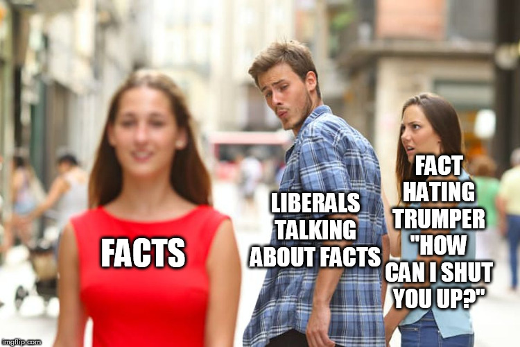 Distracted Boyfriend | FACT HATING TRUMPER "HOW CAN I SHUT YOU UP?"; LIBERALS TALKING ABOUT FACTS; FACTS | image tagged in memes,distracted boyfriend | made w/ Imgflip meme maker