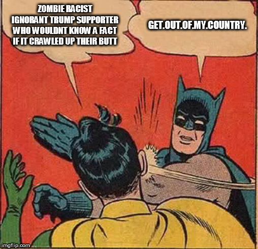 Batman Slapping Robin | ZOMBIE RACIST IGNORANT TRUMP SUPPORTER WHO WOULDNT KNOW A FACT IF IT CRAWLED UP THEIR BUTT; GET.OUT.OF.MY.COUNTRY. | image tagged in memes,batman slapping robin | made w/ Imgflip meme maker