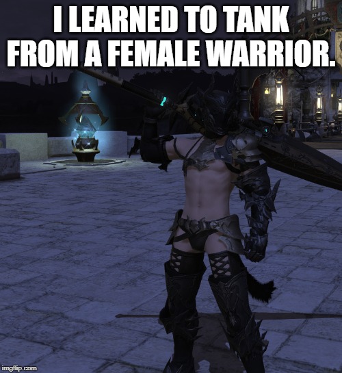 I LEARNED TO TANK FROM A FEMALE WARRIOR. | image tagged in tank,female fantasy armor,female armor,female tank | made w/ Imgflip meme maker