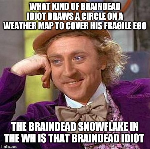 Creepy Condescending Wonka | WHAT KIND OF BRAINDEAD IDIOT DRAWS A CIRCLE ON A WEATHER MAP TO COVER HIS FRAGILE EGO; THE BRAINDEAD SNOWFLAKE IN THE WH IS THAT BRAINDEAD IDIOT | image tagged in memes,creepy condescending wonka | made w/ Imgflip meme maker