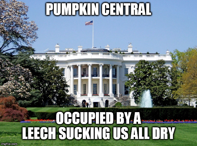 White House | PUMPKIN CENTRAL; OCCUPIED BY A LEECH SUCKING US ALL DRY | image tagged in white house | made w/ Imgflip meme maker