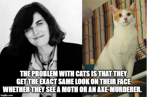 The problem with cats | THE PROBLEM WITH CATS IS THAT THEY GET THE EXACT SAME LOOK ON THEIR FACE WHETHER THEY SEE A MOTH OR AN AXE-MURDERER. | image tagged in quotes | made w/ Imgflip meme maker