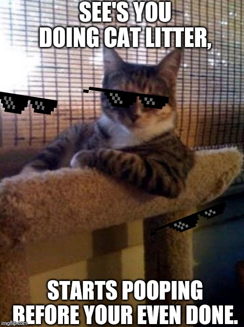 The Most Interesting Cat In The World Meme | SEE'S YOU DOING CAT LITTER, STARTS POOPING BEFORE YOUR EVEN DONE. | image tagged in memes,the most interesting cat in the world | made w/ Imgflip meme maker