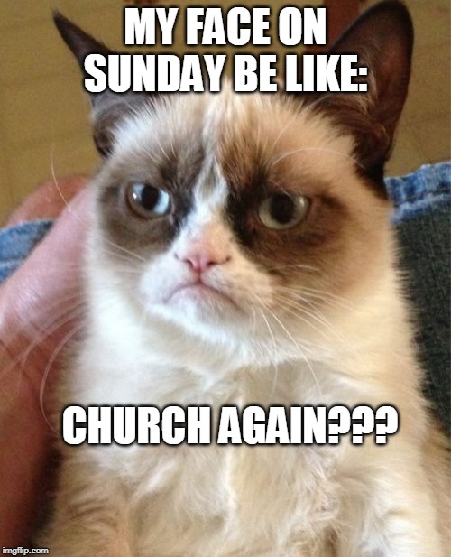 Grumpy Cat Meme | MY FACE ON SUNDAY BE LIKE:; CHURCH AGAIN??? | image tagged in memes,grumpy cat | made w/ Imgflip meme maker