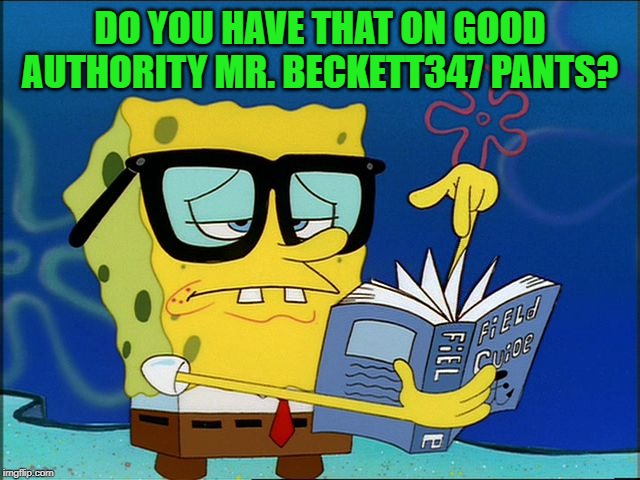DO YOU HAVE THAT ON GOOD AUTHORITY MR. BECKETT347 PANTS? | made w/ Imgflip meme maker