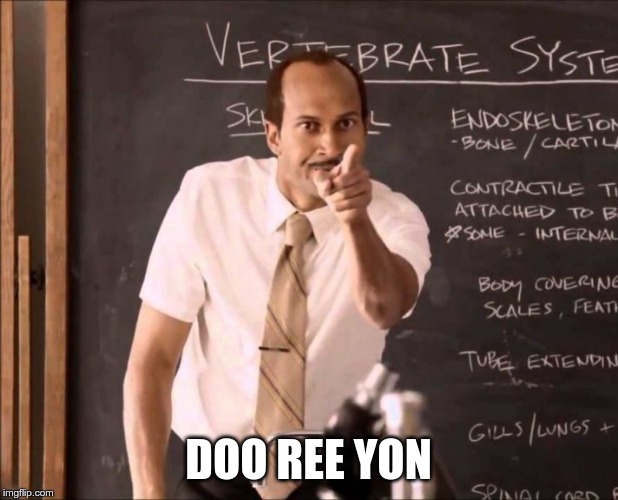 A-Aron | DOO REE YON | image tagged in a-aron | made w/ Imgflip meme maker